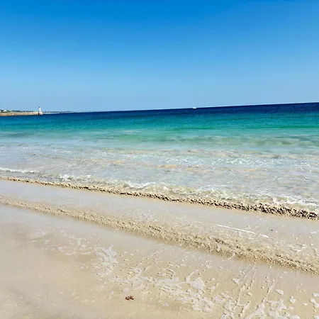 Maison Vue Pres Avec Pres Des Plages Plouhinec